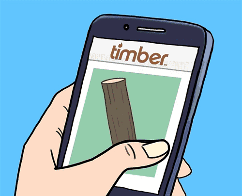 Timber
