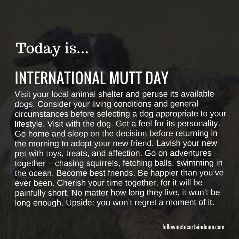 0731_International Mutt Day