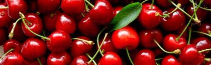 cherries1.jpg